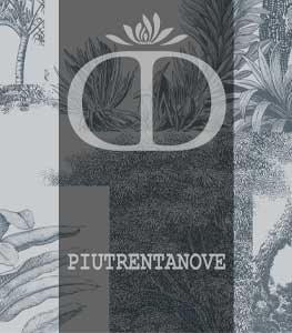 Catalogue mobilier de jardin PIUTRENTANOVE 2025