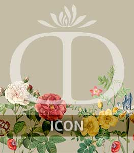 catalogo 2026 ICON